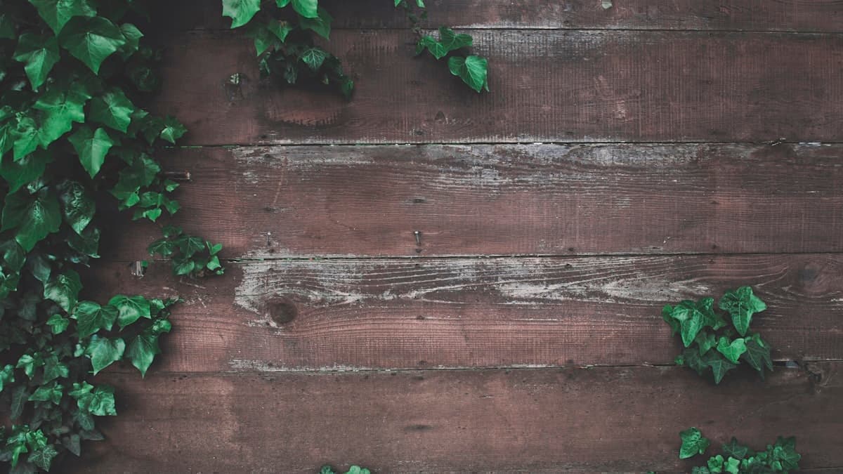 B2B LinkedIn Strategy for 2026: What Actually Works Now